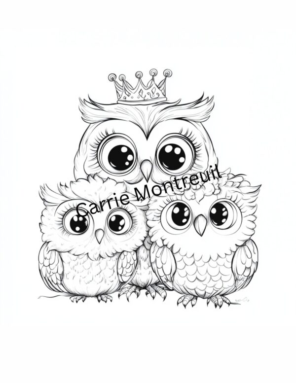 The Hoot Family